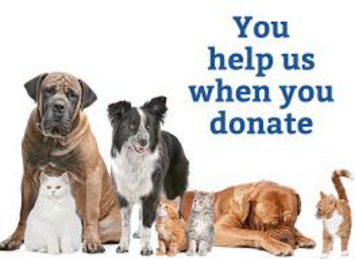 Donate