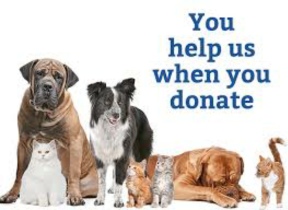 donate